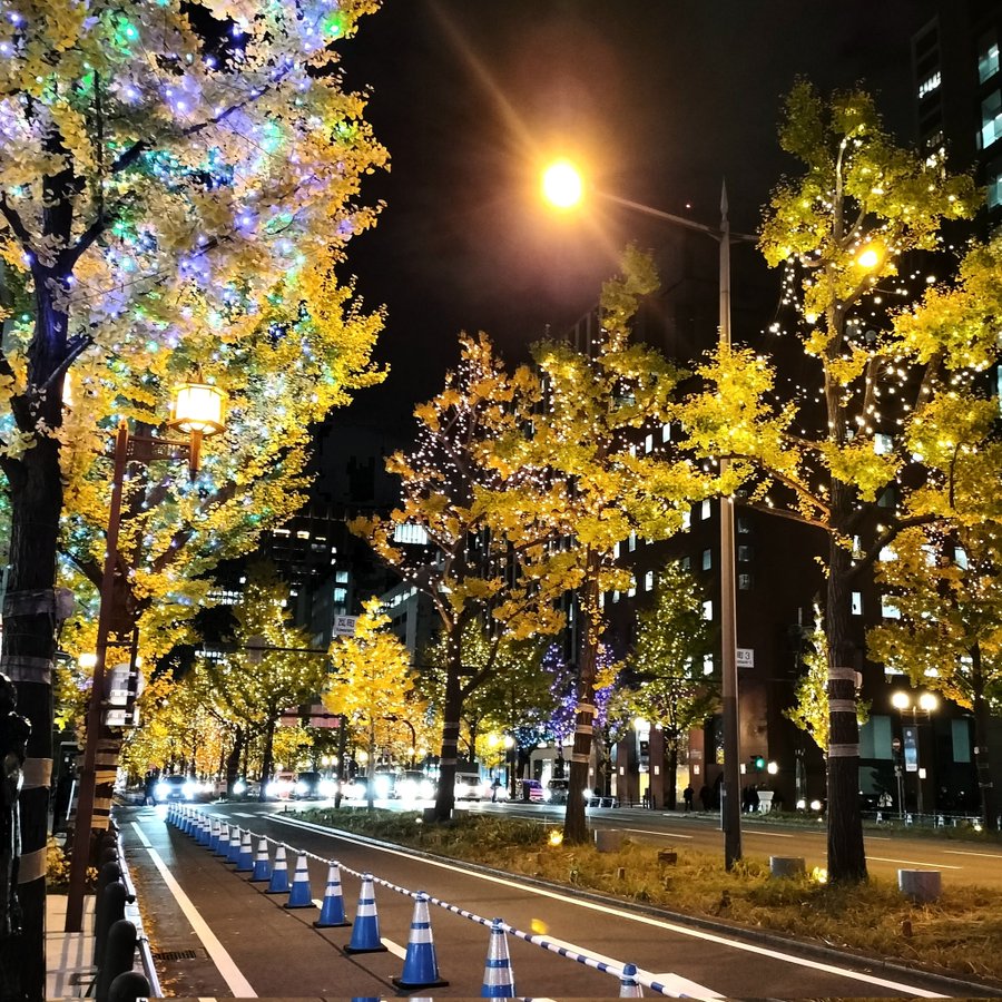 �\�[�V�����}�K�W���w�R�X���f�B�A�h�b�g�R��!!�x:�ŐV���𐏎��X�V��!!