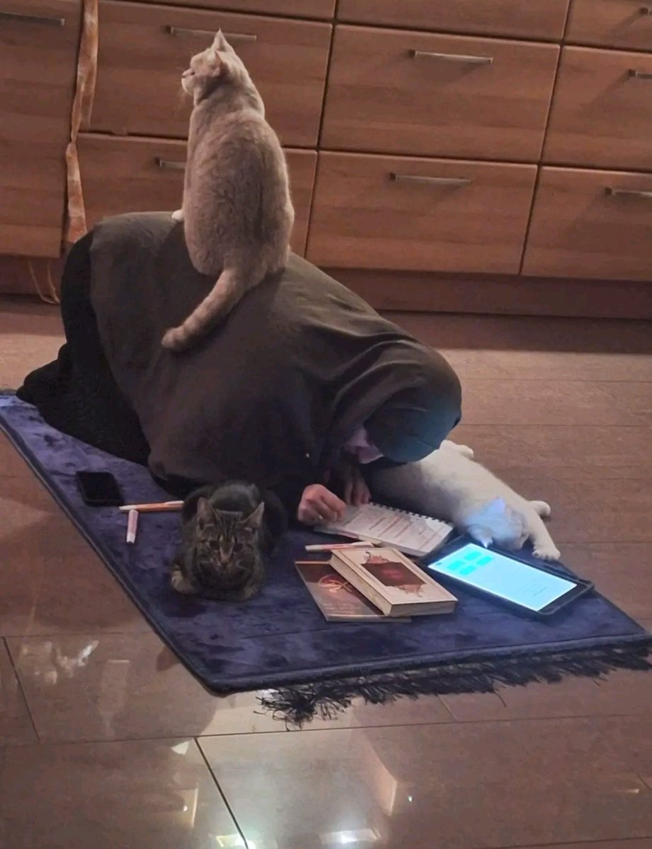 سنيوري ‏ (@seny0ure) on Twitter photo 