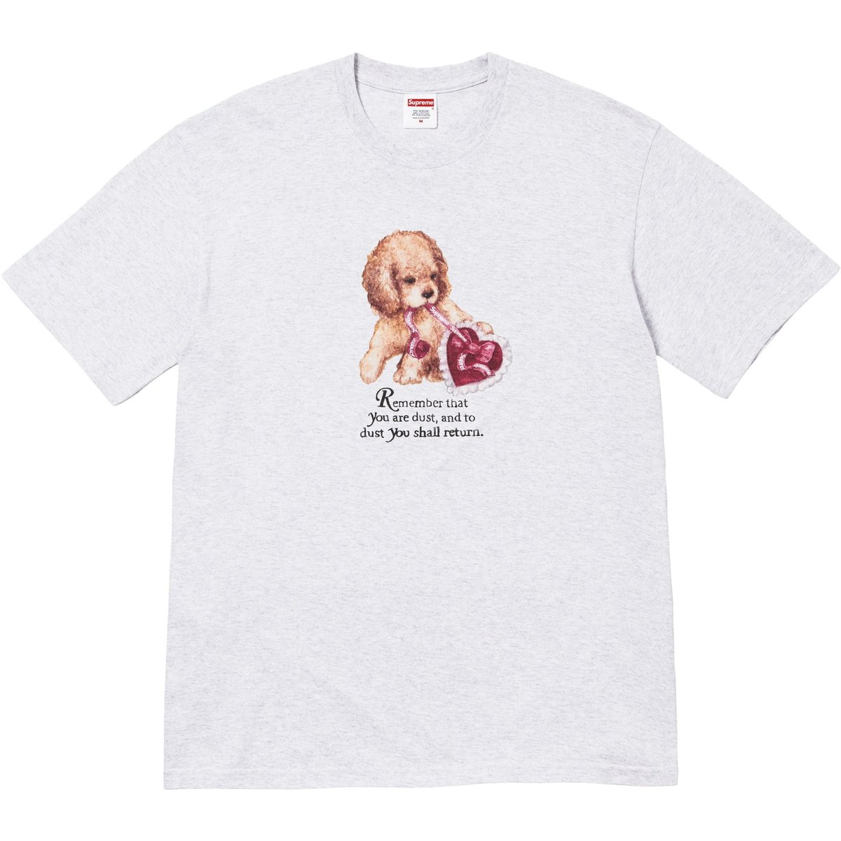 supreme 25fw week17 dust teeの文章は 「Remember that you are dust