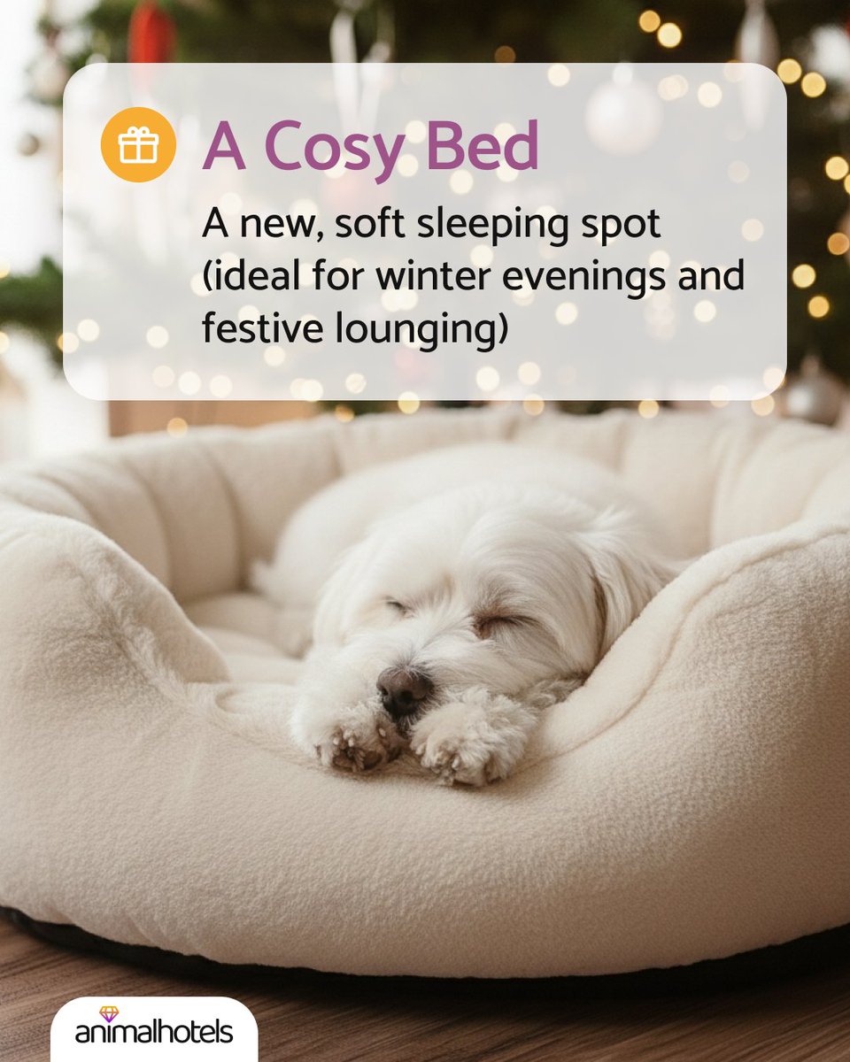 Still not sure what to get your pet for Christmas? We’ve made a small gift guide to help you pick something they’ll love.🎁

Love animals and want to earn extra? Create your care offer on animalhotels.com and start today. 💛

#animalhotels #petsitter #pets #dogs #christmas