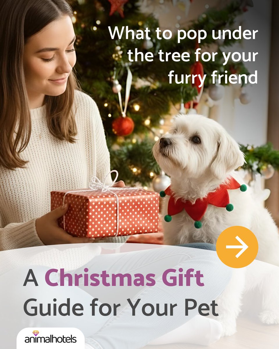 animalhotels.com tweet media