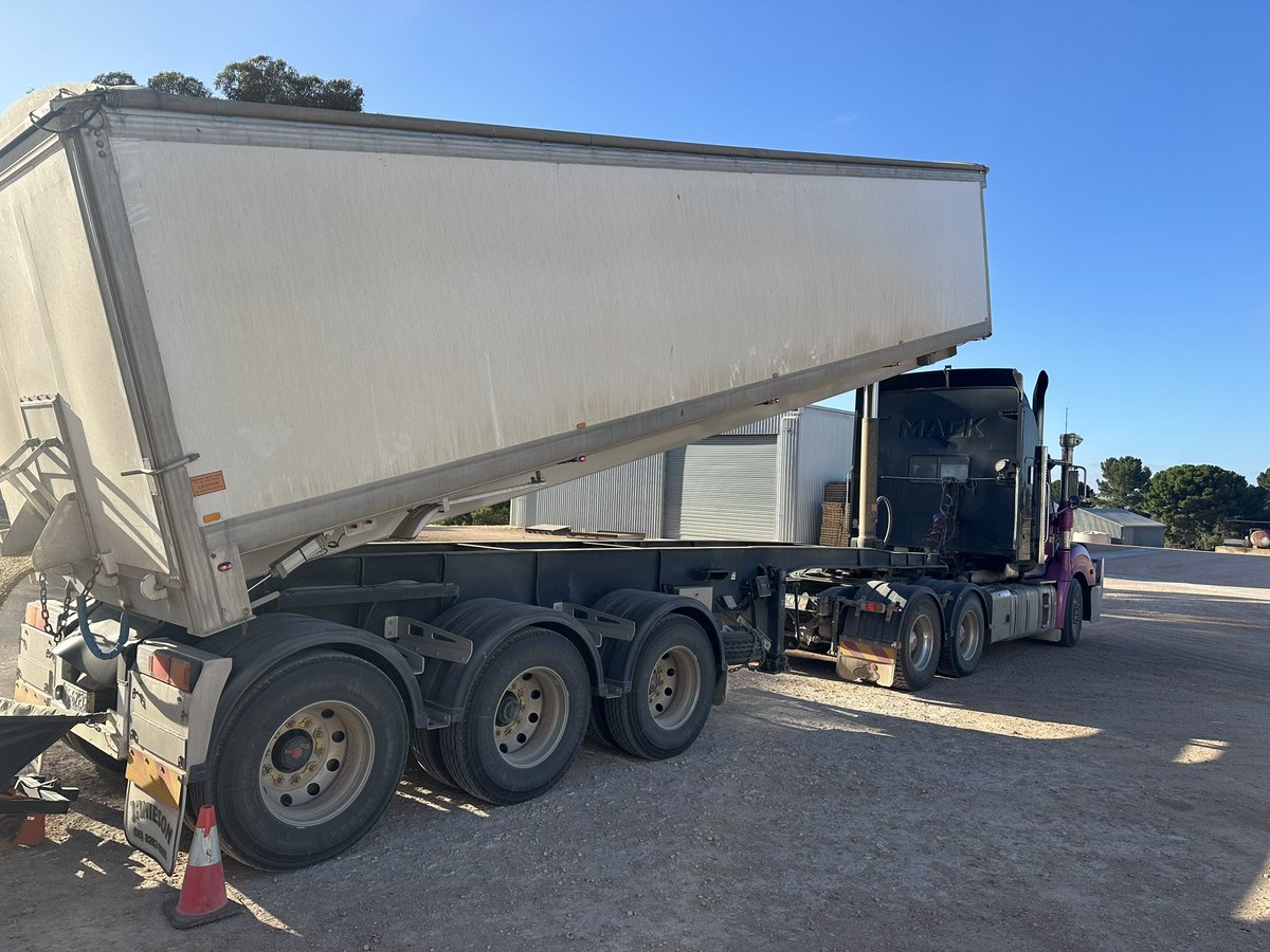 DaleBascomb's tweet image. MD300 Barley delivered for cleaning, total of 61.2t = 5.7t/ha yield. not too bad as it was only fed 120kg urea/ha