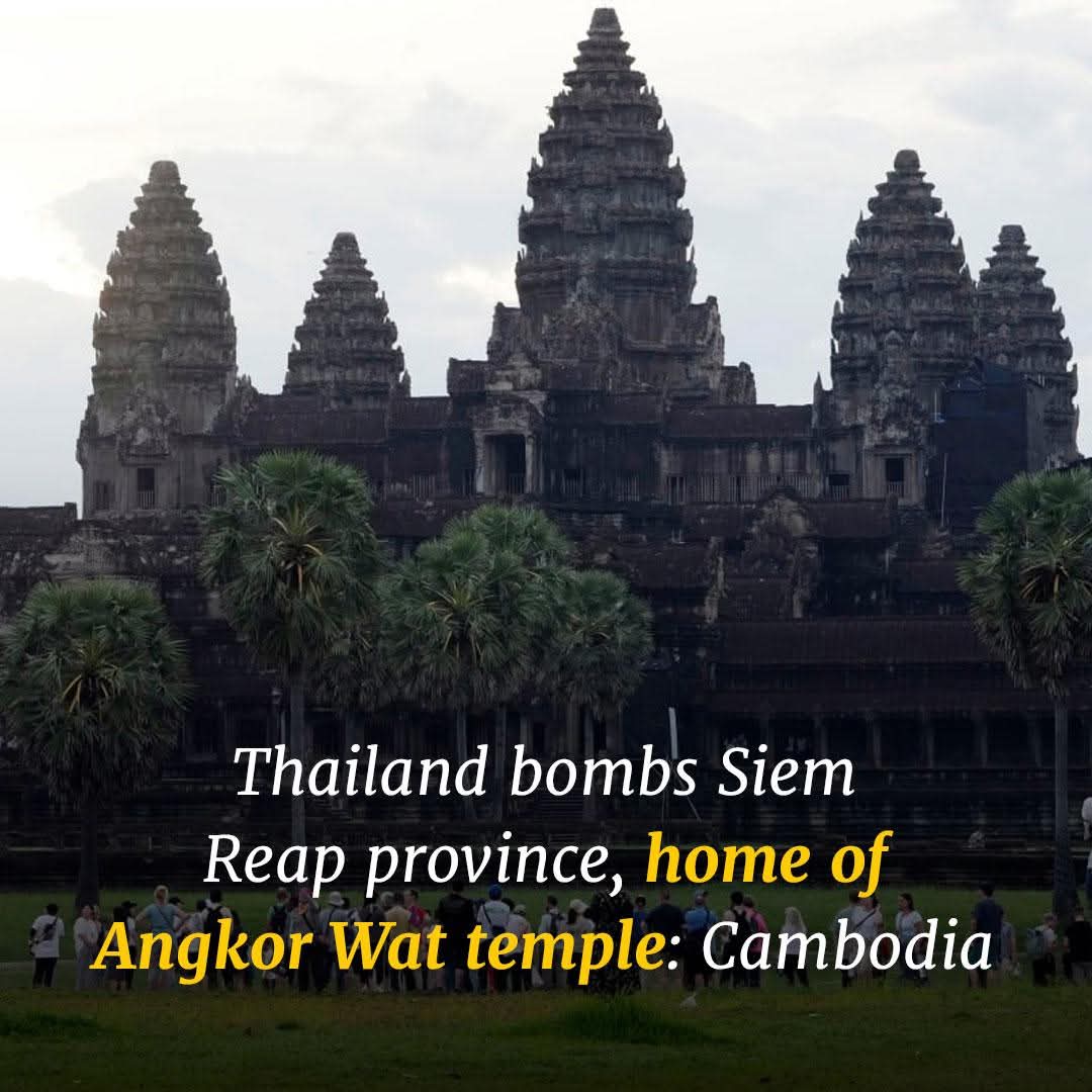 Dara Mech tweet media