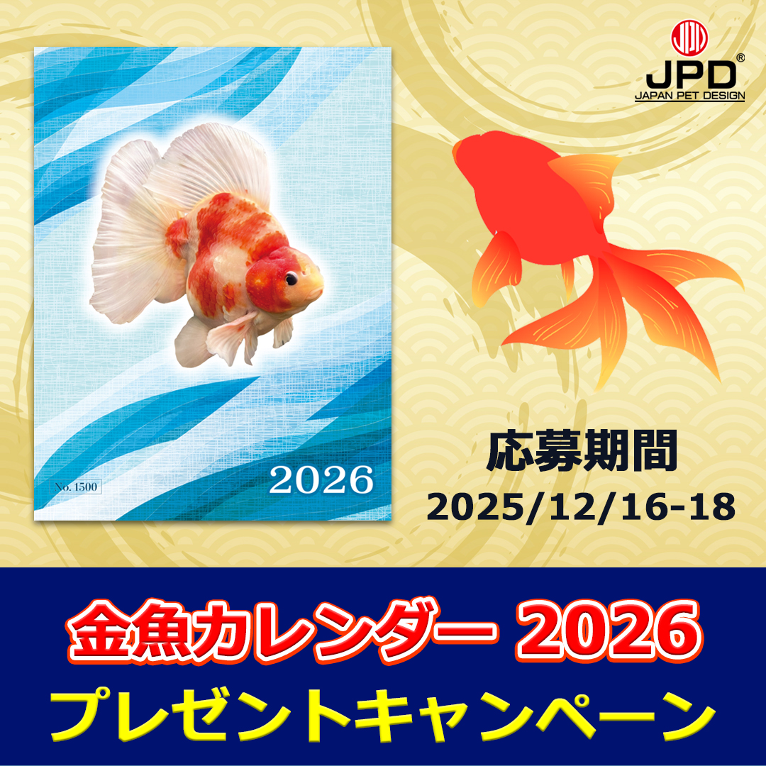 ピロめだか (@takato2sai) / Posts / X