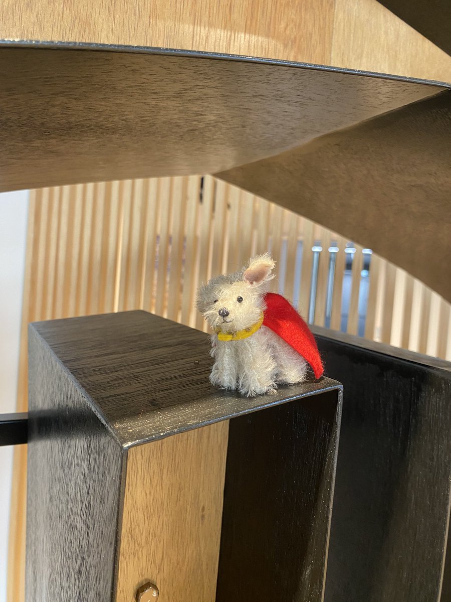 mico𓅪 tweet media