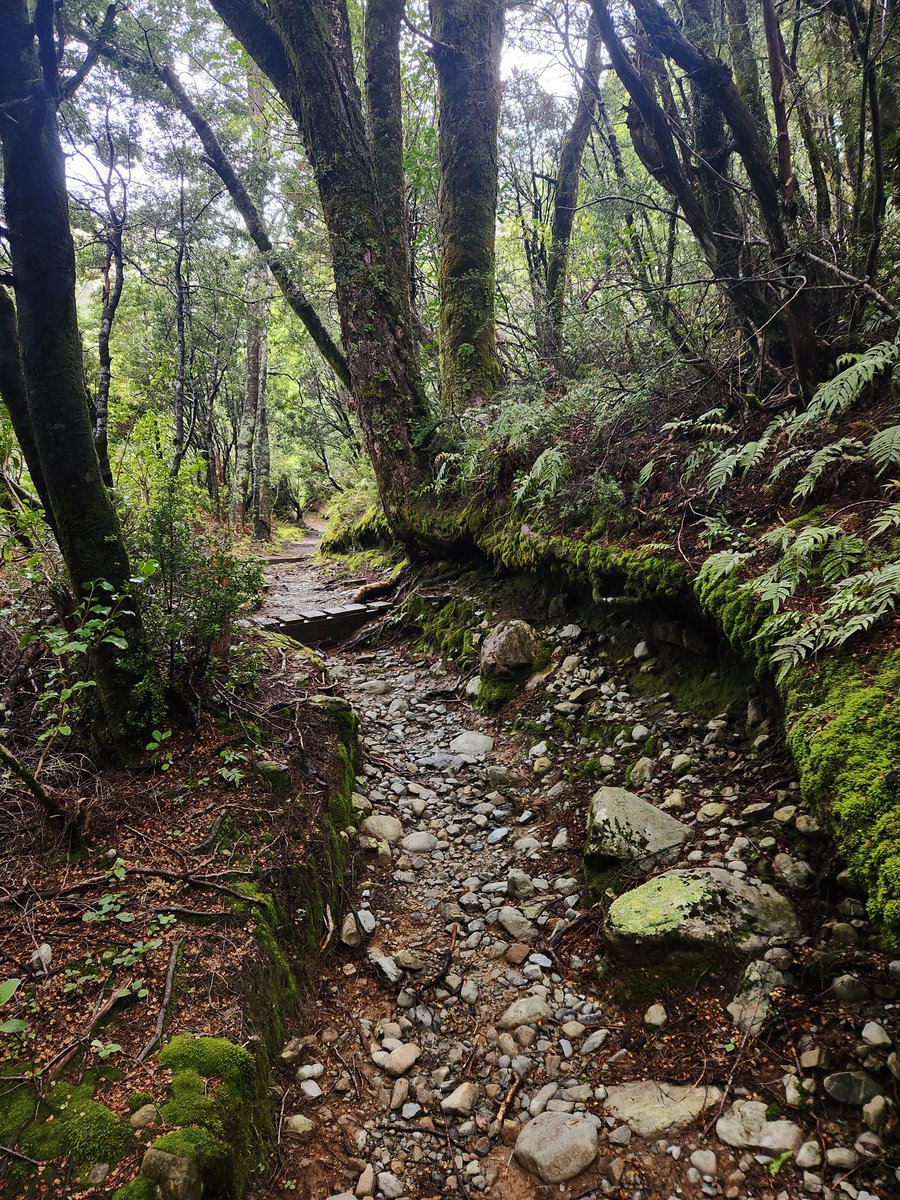 Good place to hide from pesky Ring Wraiths