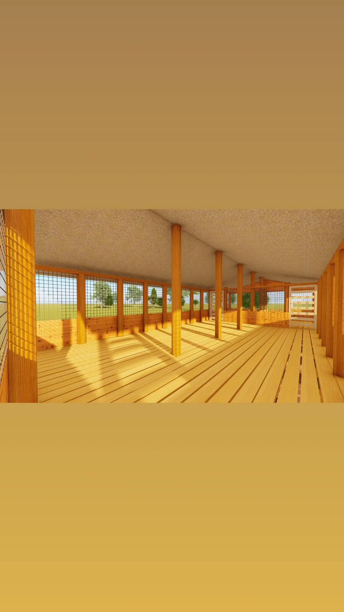 OfKimd's tweet photo. 100 Goats Structure Design Plan Zero Grazing 

Discover how to establish a fully functional 100-goat farm on 2 acres of land with our professional business proposal included in the premium package.
https://t.co/gh7SqJZN6f
##goatfarming https://t.co/wLmErq2Ndr