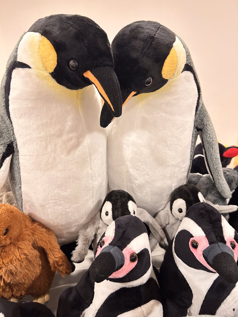 ペンギンのぬいぐるみが届きましたー！ エンペラーペンギンにキング