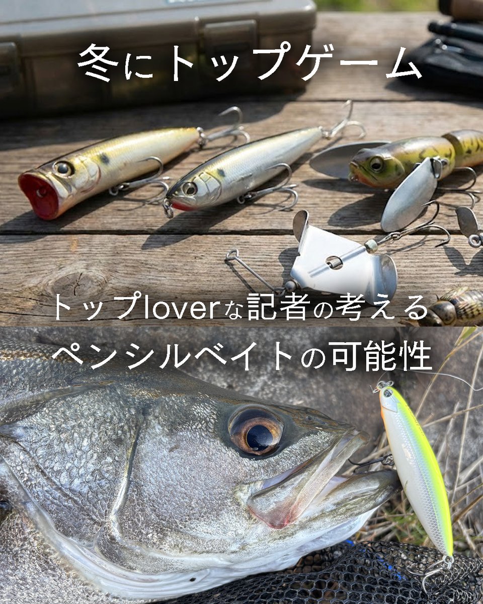 LureNewsR ルアーニュースアール (@lurenewstv) / Posts / X