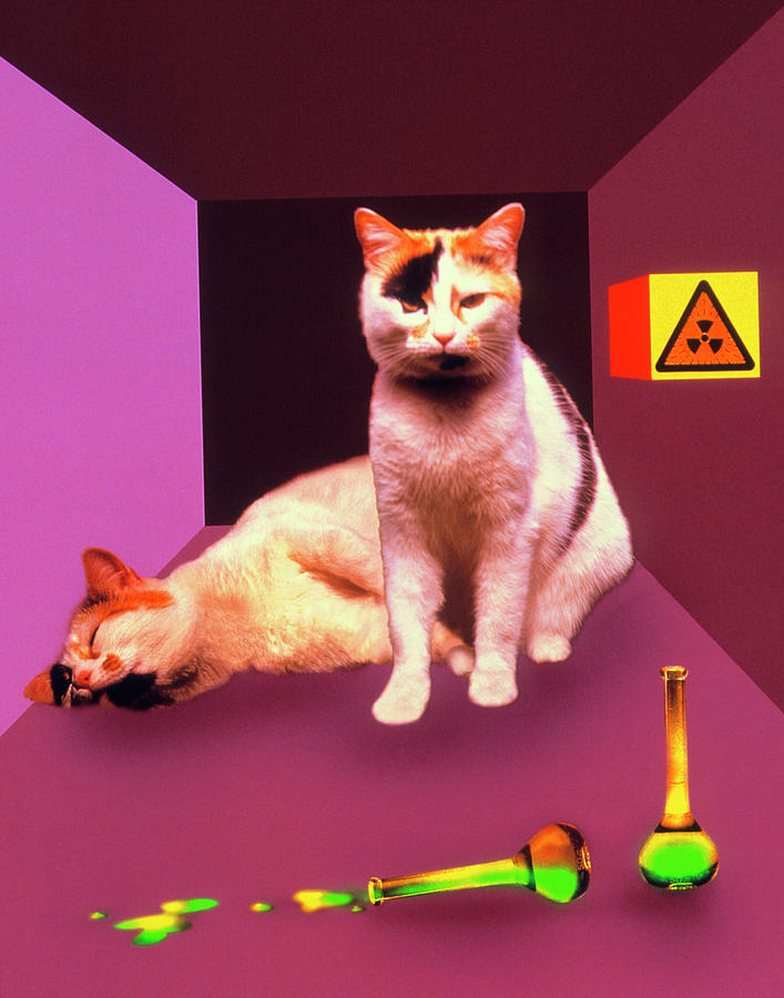 Borvid (@sideponys) on Twitter photo 