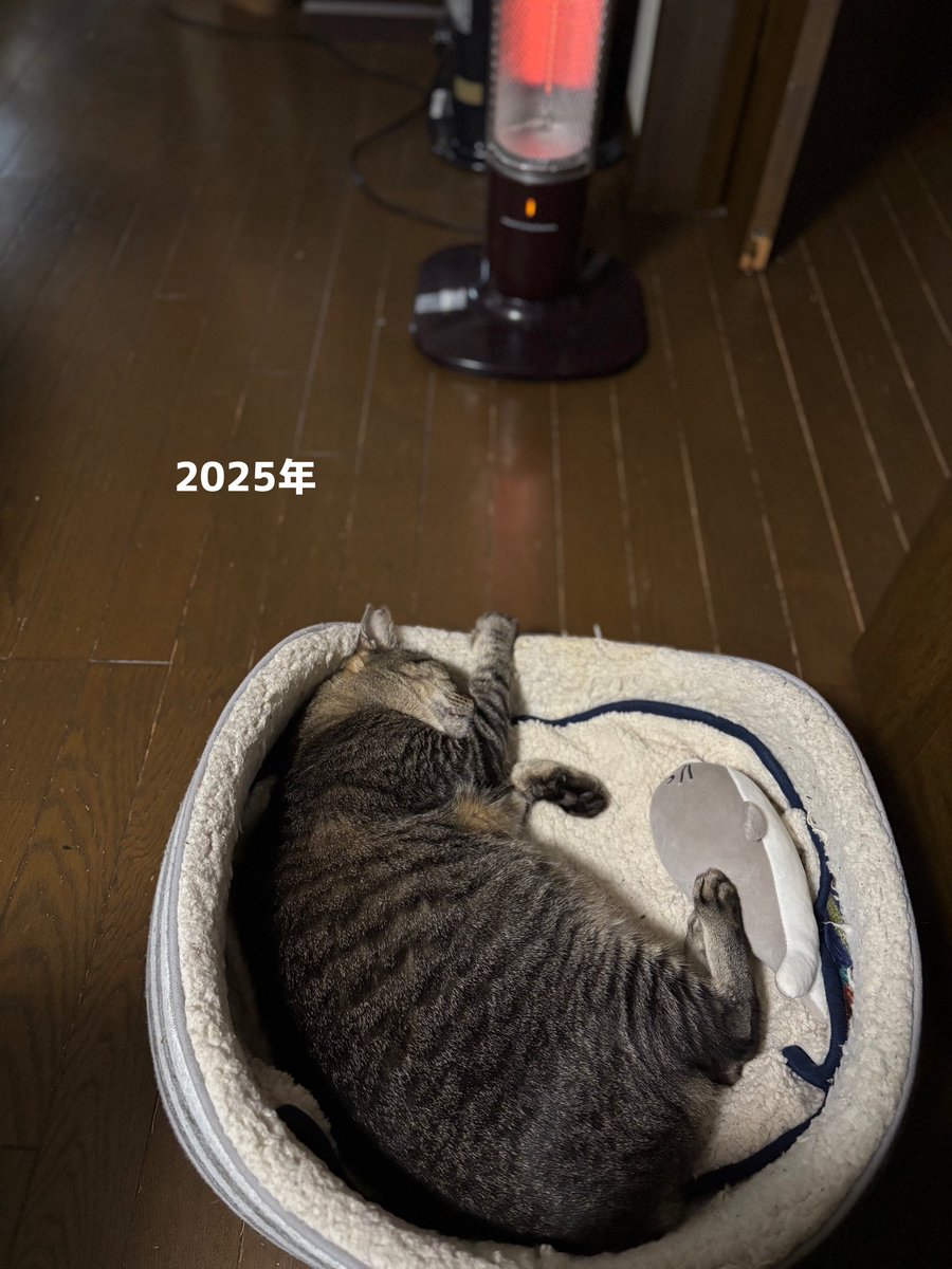 EMY (@EMYSWORKS) / Posts / X