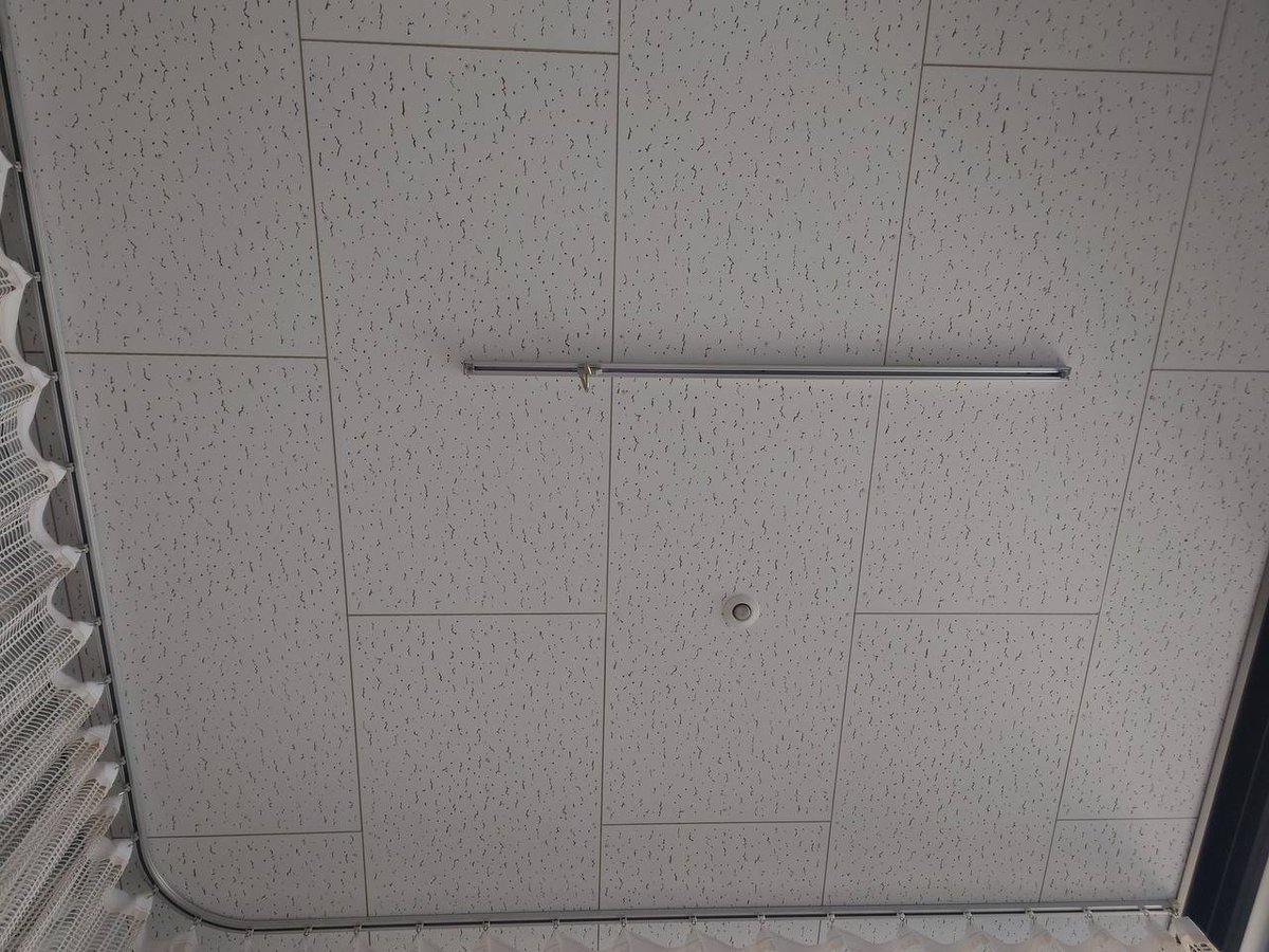 キトム/配布屋 tweet media