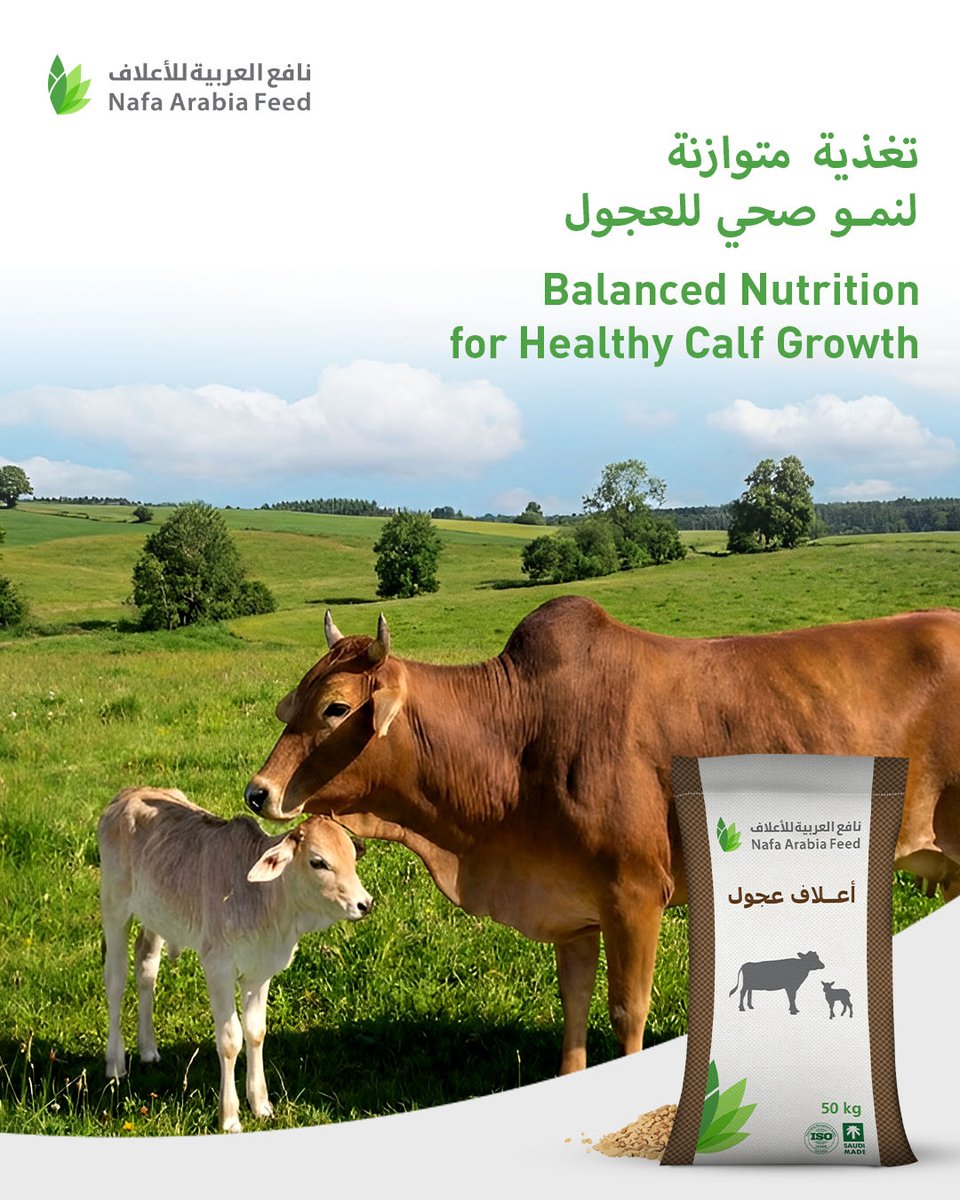 NafaFeeds's tweet photo. تغذية متوازنة تضع الأساس لنمو صحي وقوي للعجول.

Balanced nutrition is the foundation for healthy calf growth.

#نافع_العربية_للأعلاف #أعلاف_عجول #تغذية_متوازنة #NafaArabiaFeed #CalfFeed #LivestockHealth https://t.co/jbM2v9TAEv