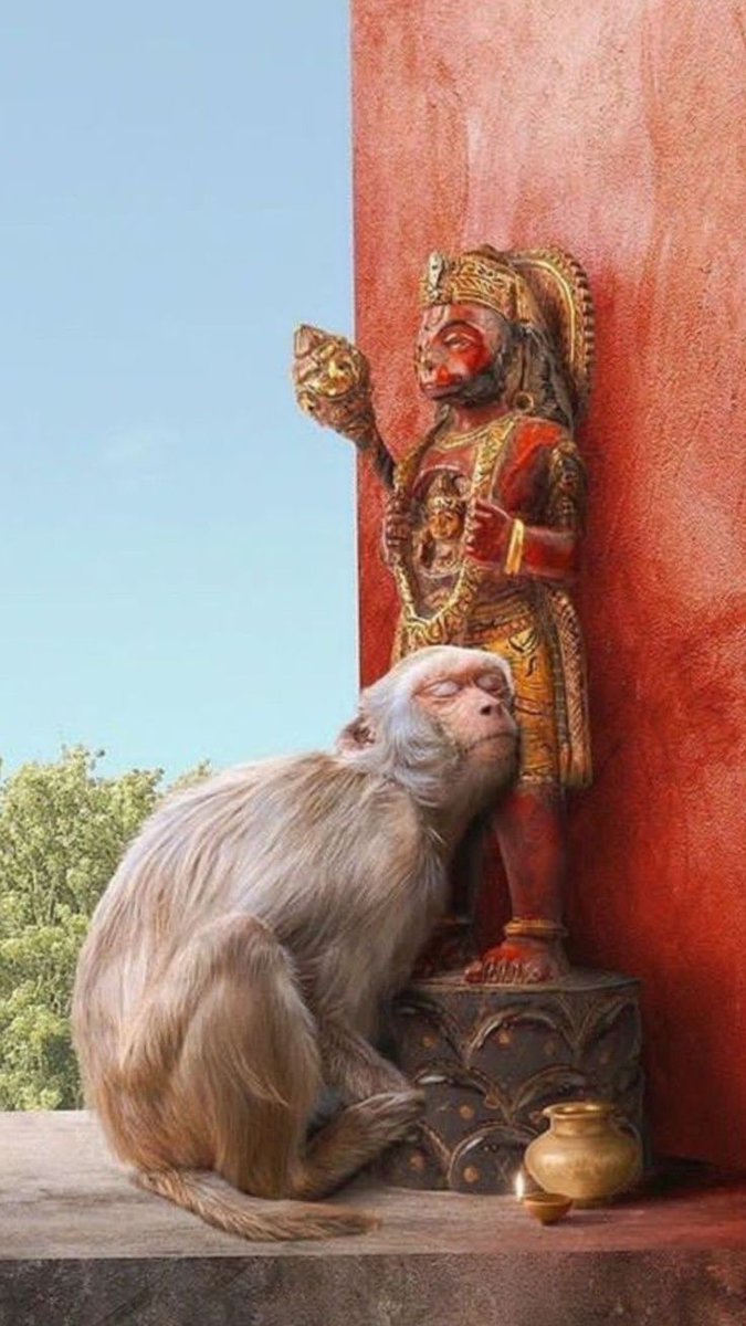 vaidic_1's tweet photo. Fear ends where Bajrangbali Hanuman begins 🔥