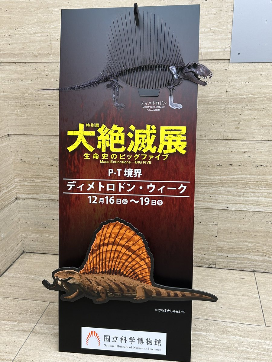 大絶滅展 を観てきました。 貴重な標本が展示してあり、そこから分かる