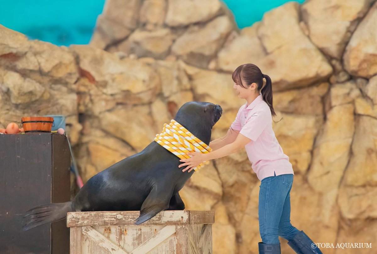 鳥羽水族館（TOBA AQUARIUM） (@TOBA_AQUARIUM) / Posts / X