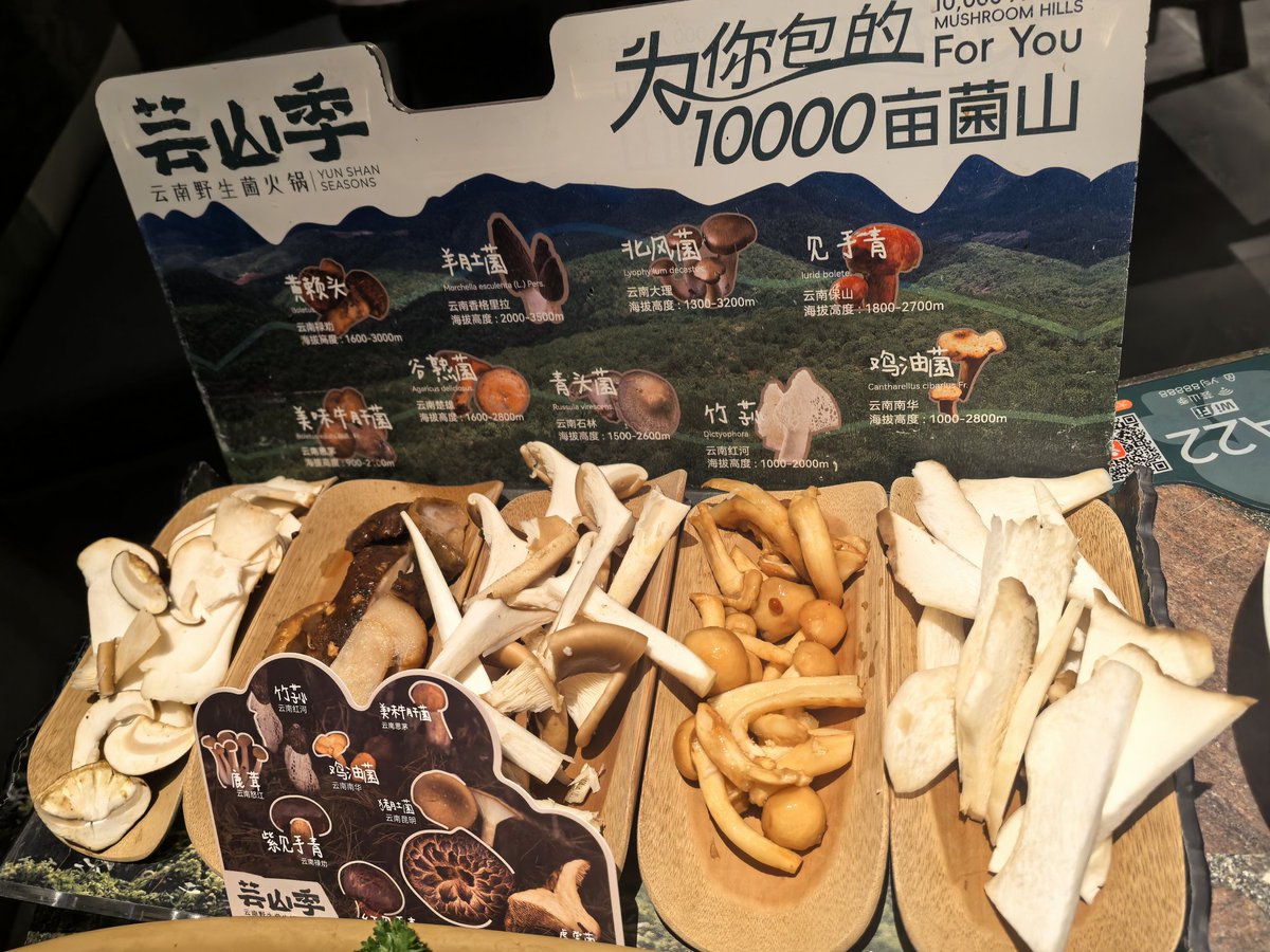 share_yw's tweet photo. 爱上傍晚时分。 https://t.co/WjT09jj9JG