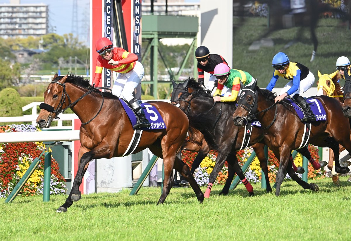 netkeiba's tweet photo. 【#ベラジオオペラ】
史上初となる大阪杯連覇達成。

阪神芝2000mのレコードを1秒短縮する勝ち時計『1分56秒2』。

種牡馬として新たなスタートを切るベラジオオペラについて、あなたの思い出のレースを教えてください。

photo：(c)netkeiba https://t.co/gGjbCEuLXf
