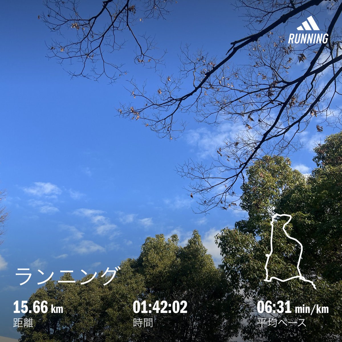 sjky_island_01's tweet photo. 陽気に誘われ少し長めラン🏃
ここ最近では珍しく足のどこどこが痛い…ということも無く良い時間を過ごせた♪
こんな時に大会予定が無いのも悲しいけれど(笑)
#ランニング #いたち川 #柏尾川 #BROOKS #HyperionMax #SEV #カスタムバランス #shokz https://t.co/J3Z7qk9ynd