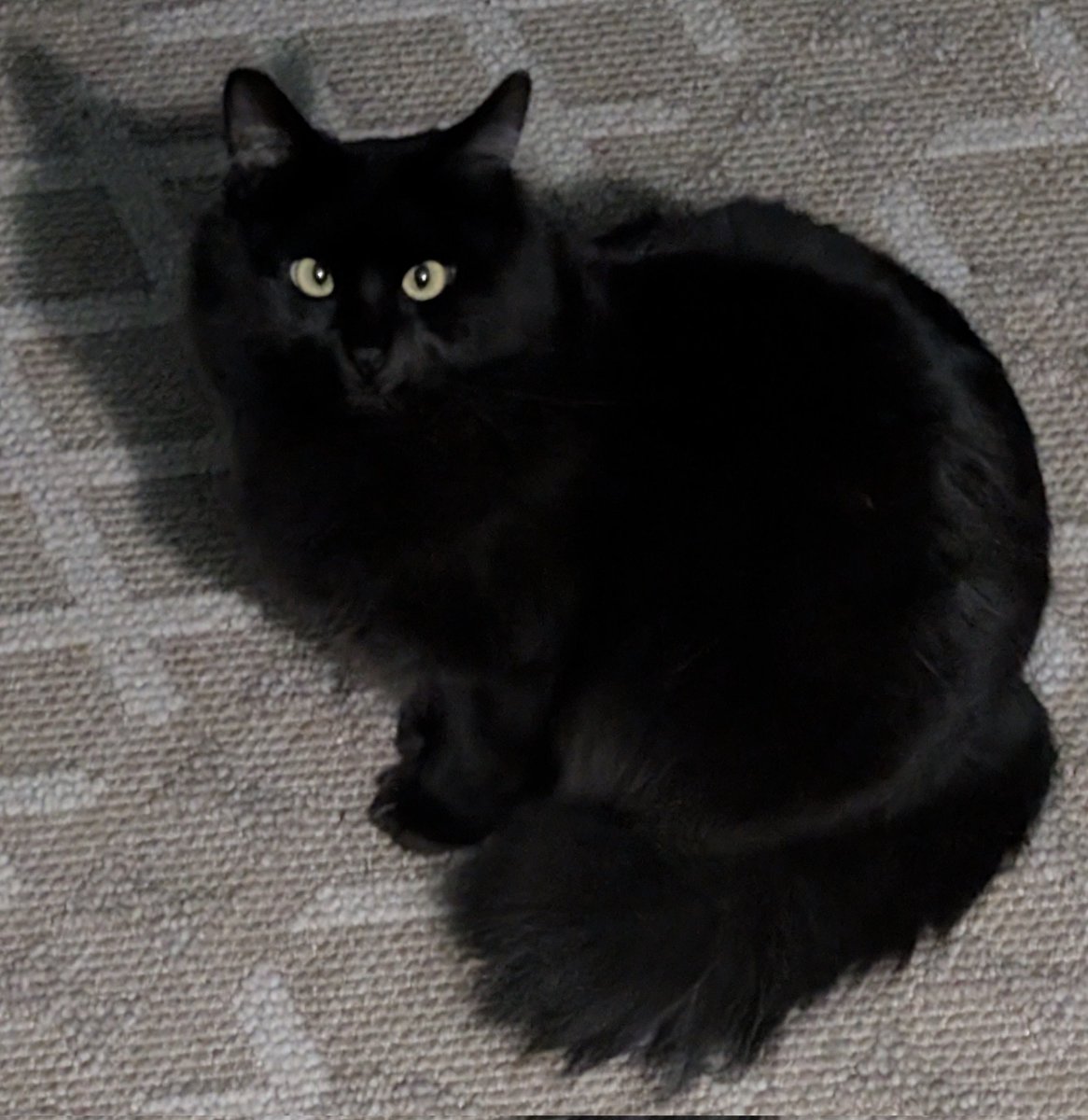 Christian Hansen tweet media