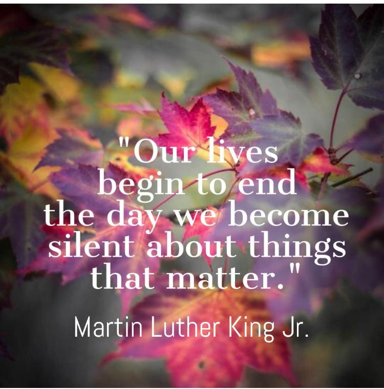 mowaleym's tweet photo. "Our lives begin to end the day we become silent about the things that matter." - Martin Luther King, Jr. https://t.co/k3s2j4UDJu