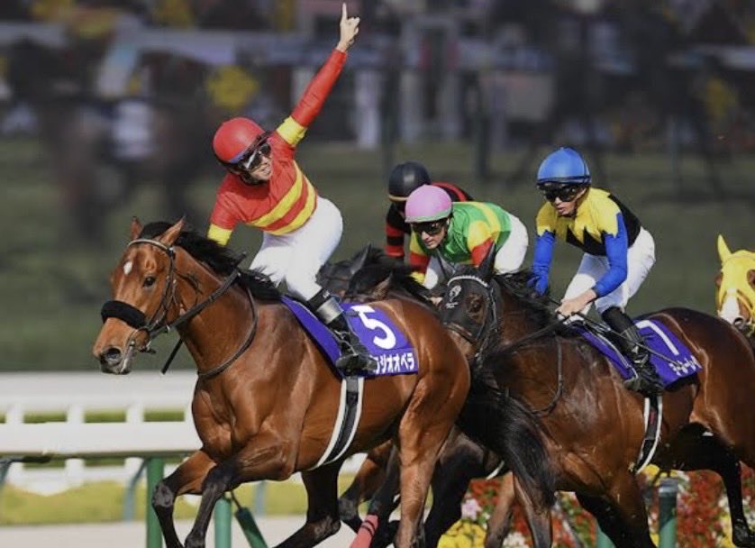 ベラジオレーシング tweet media