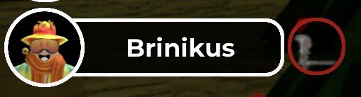 Brinikus tweet media