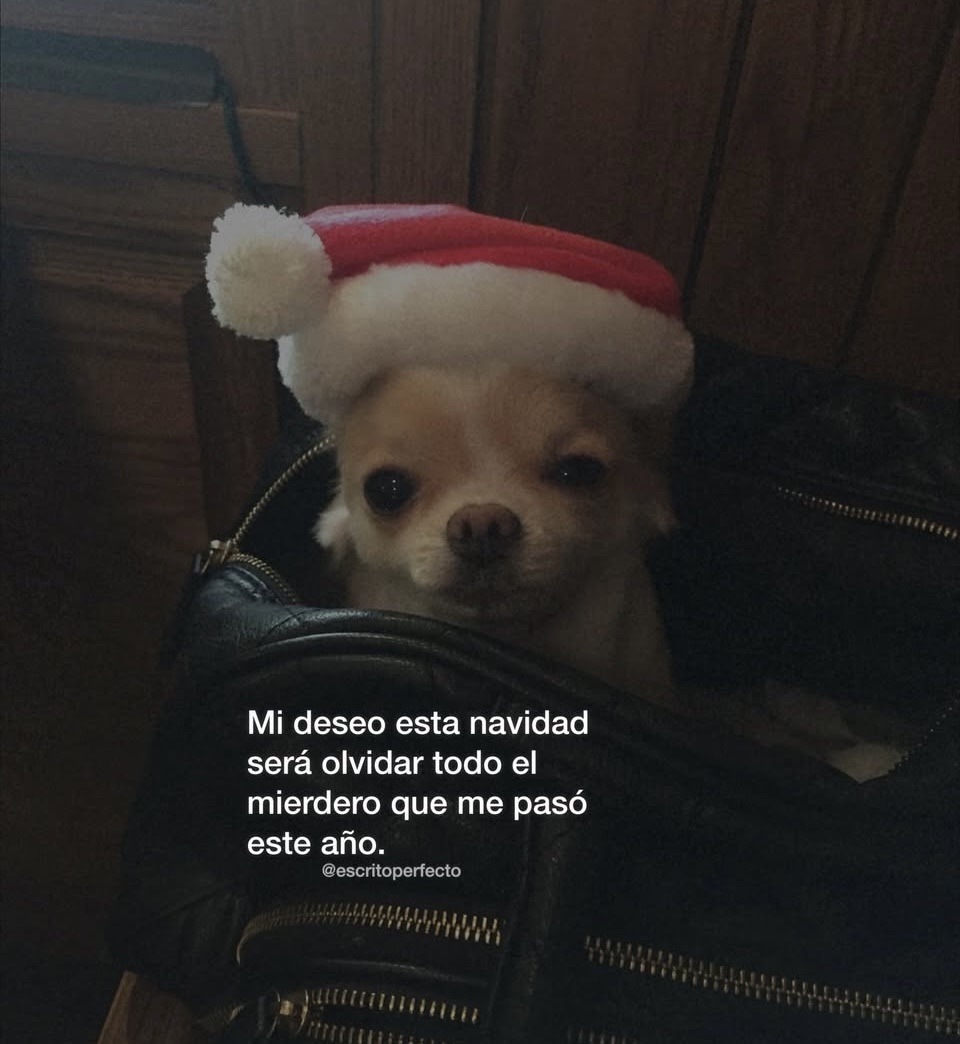 suspirxsalaire's tweet image. 