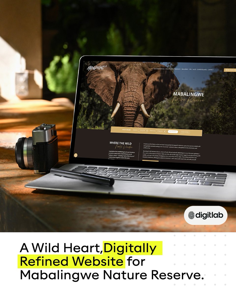 Digitlab tweet media