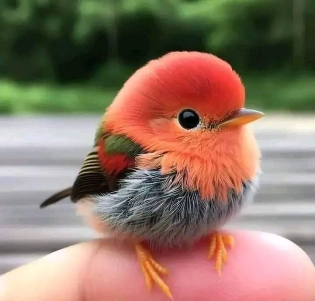 Bom dia a todos! / Good morning to all! …