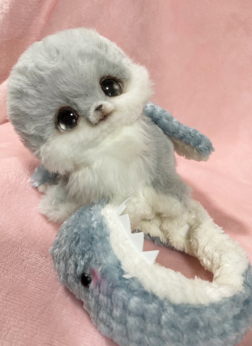 LArtDoll's tweet photo. たべられないように
サメに へんしんした
ちいさな あざらし🦭🦈

でも正体は
ふわふわで びびりな子です🤍

明日夜９時頃まで💫

#アザラシ　#アートドール
#サメぐるみ　#着ぐるみあざらし
#もふもふ #サメ
#shark https://t.co/tm8EwAdhM2