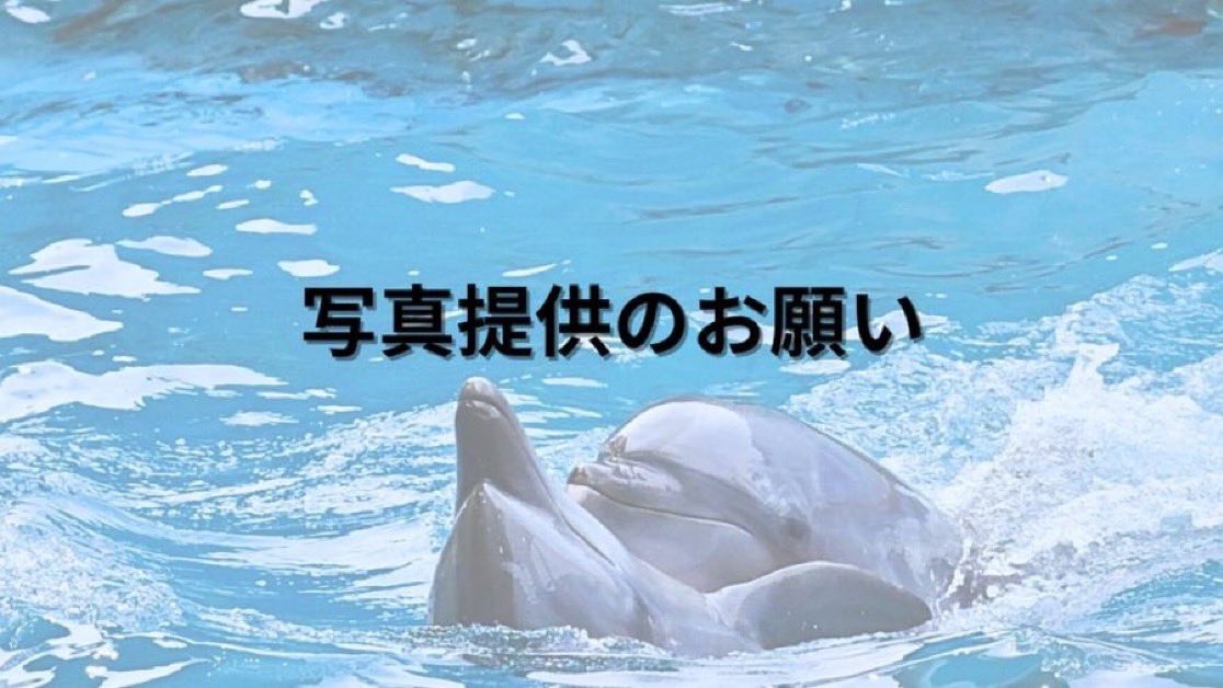 【写真提供のお願い】
ISANAcomは“みんなで作る”イルカ・クジラ個体情報サイトです🐬
個体情報のため、皆さまの写真をぜひご提供ください！
掲載時は任意で撮影者名を明記し、貴重な個体情報として活用させていただきます。ご協力お願いします🙇
入力フォーム⤵︎ ︎
docs.google.com/forms/d/e/1FAI…