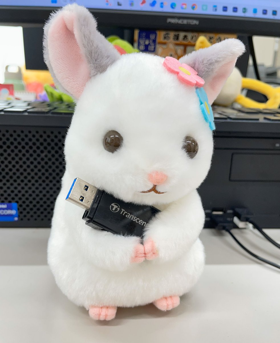 ぬいぐるみ・マスコット x アミューズ AMUFUN【公式】 (@AMUSE_japan) / Posts / X