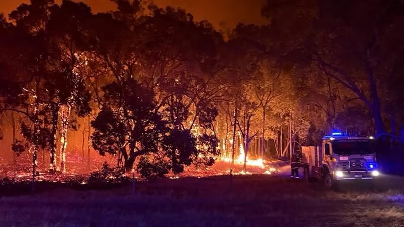 DeccanChronicle's tweet image. #Australia | Multiple emergency bushfires blazing across Western Australia as communication system fails 🇦🇺 
(Pictures courtesy : X)
#bushfires #wildfires #Australia