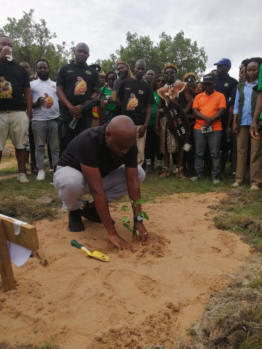 Malawi Environmental Endowment Trust tweet media