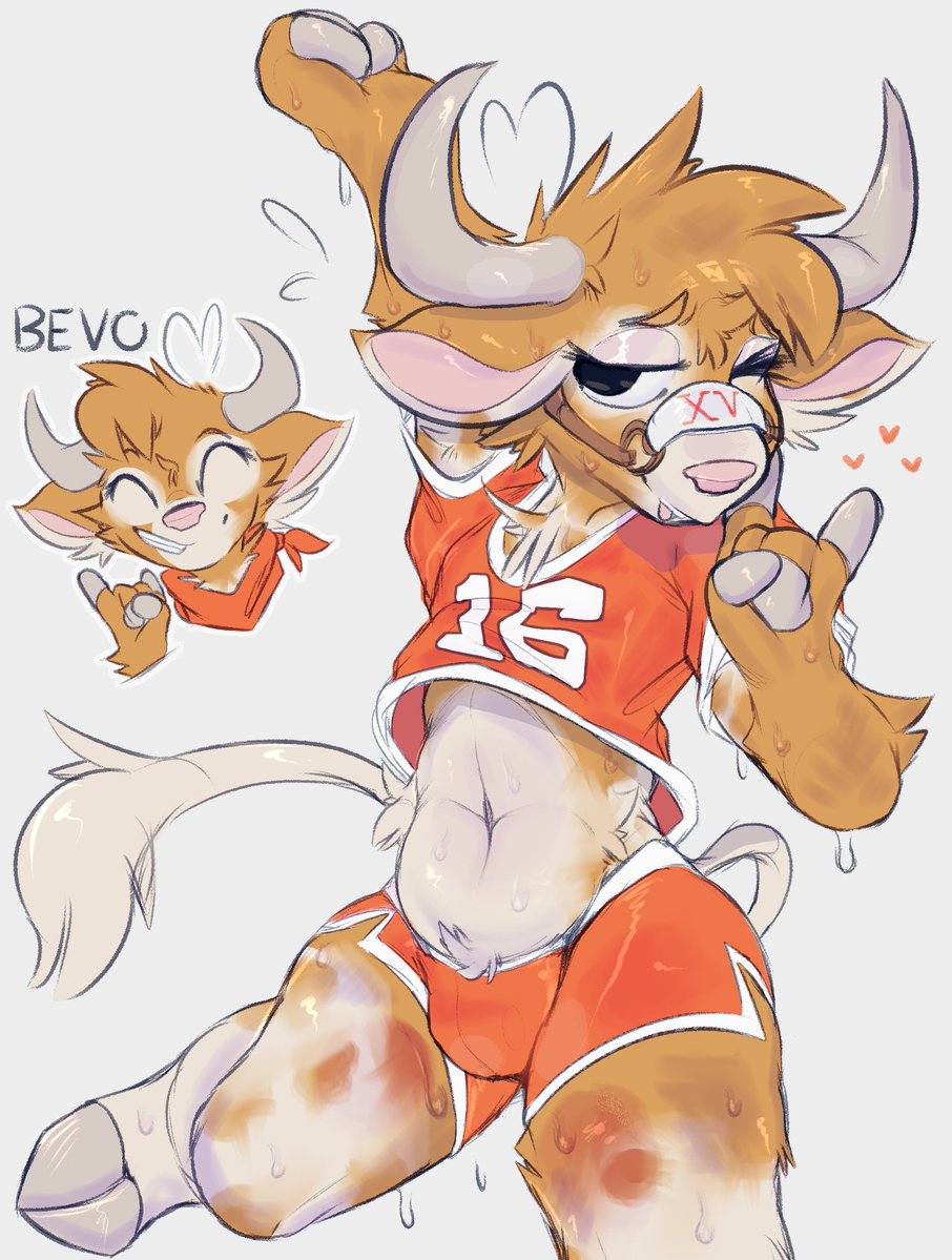 koiffs's tweet image. huggable bevo