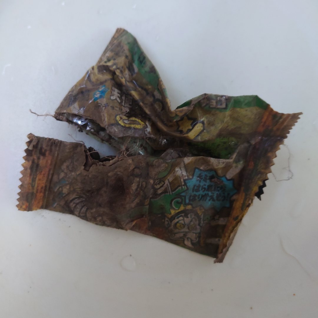 🍵ぽなか🍵 (@moduame) / Posts / X