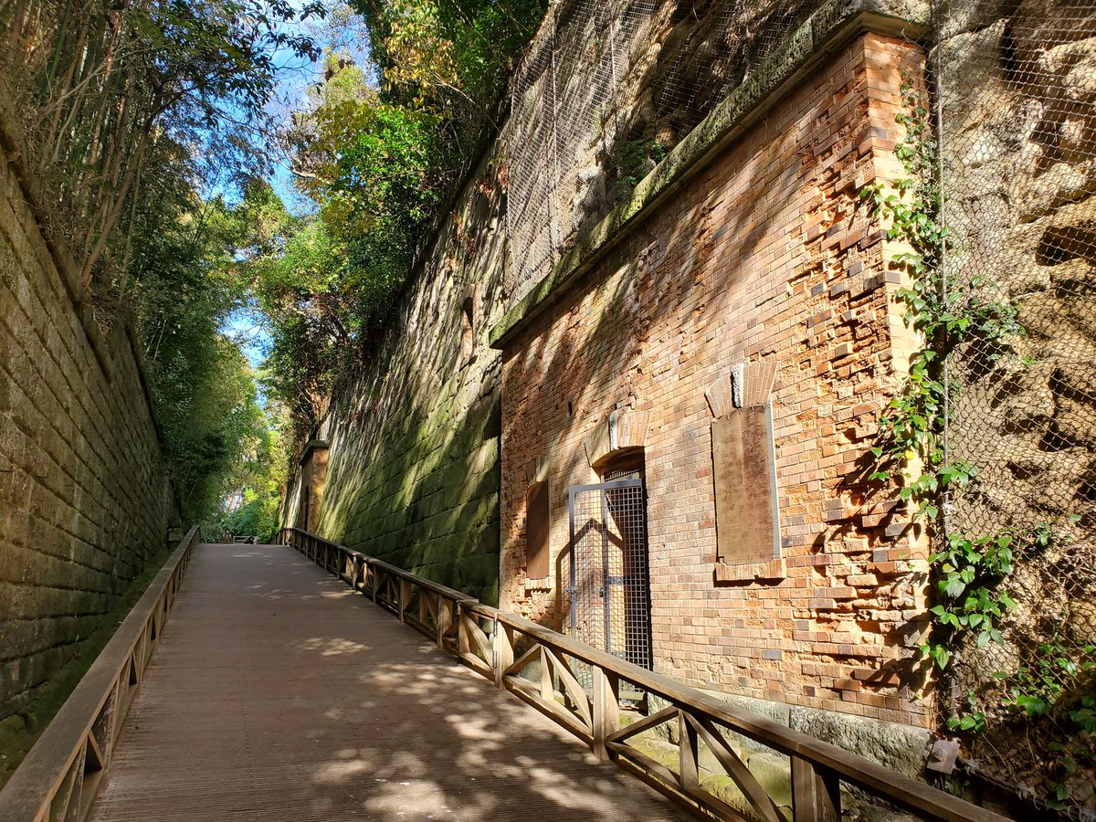 プンチョ (@Reflet_F_puncho) / Posts / X