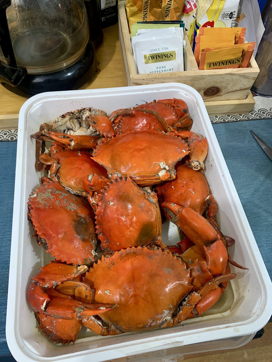 YesJustAJ's tweet image. From Marinduque to Manila! Ginataang Gulay katapat nito mamaya! ☺️