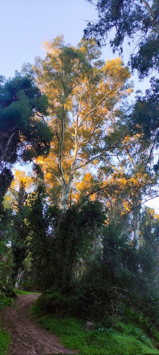 Be_kindtopeople's tweet image. Ξεκινημα ημέρας με ανάταση ψυχής 
Starting the day right ☀️📷
Good day