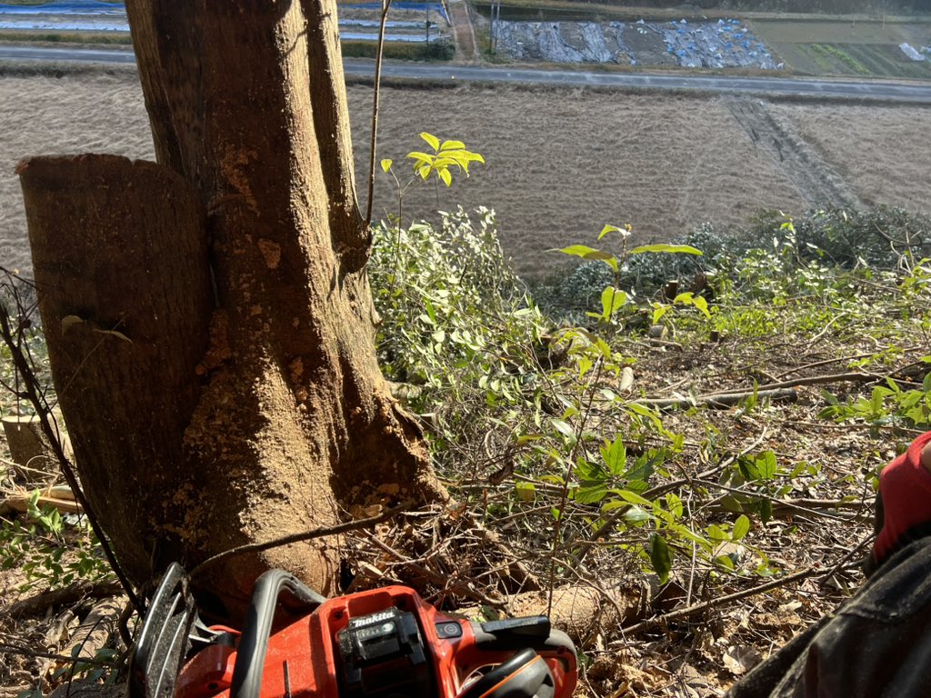 田舎のもの 田舎の者moーchan - YouTube