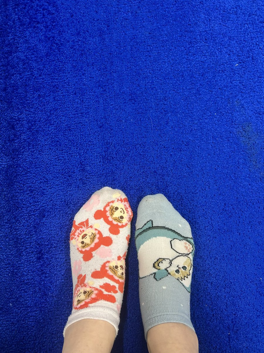 『靴下が揃わない』
Teleを超えてしまったかもしれない、、
寝ぼけすぎにも程があるよ私、、、