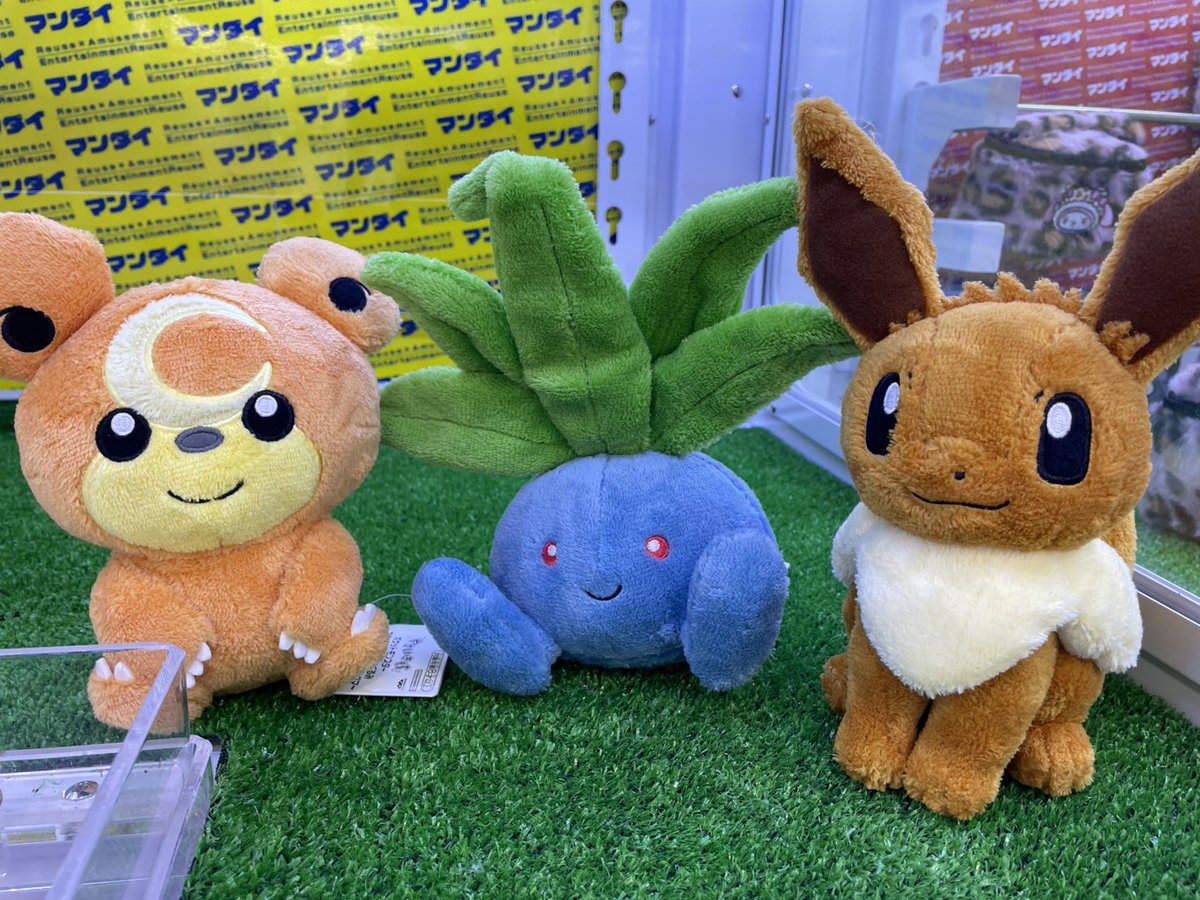 🌟ポケットモンスターやさしいきもちぬいぐるみ～ナゾノクサ・イーブイ
