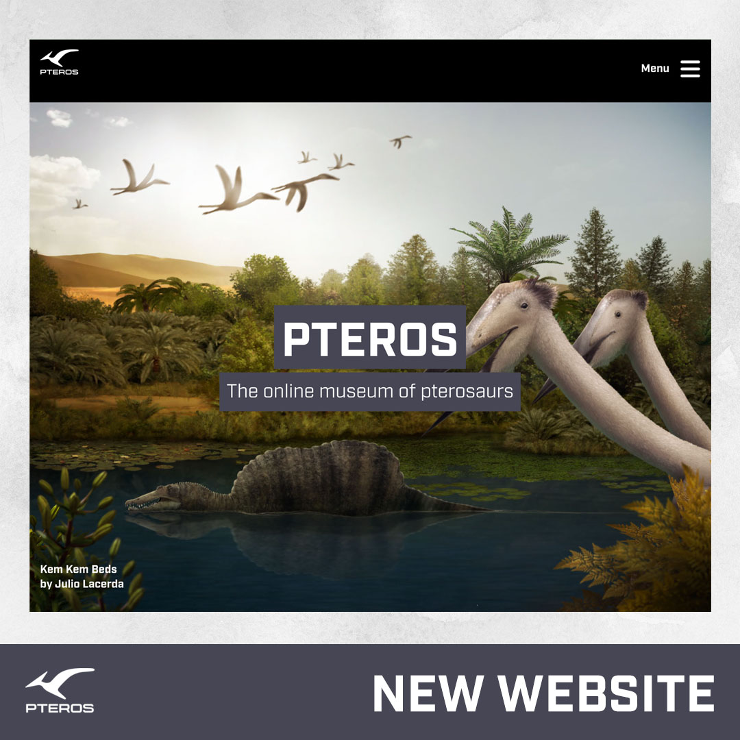 flyingreptiles's tweet photo. It’s been a long time coming but the new Pteros website is finally here! New pterosaurs, new exhibits and 3D paleoglobes are coming. We will also be making a major book announcement in the coming months. Hope you enjoy!

https://t.co/jcOEXWDOl1 https://t.co/3ZX911ckUo