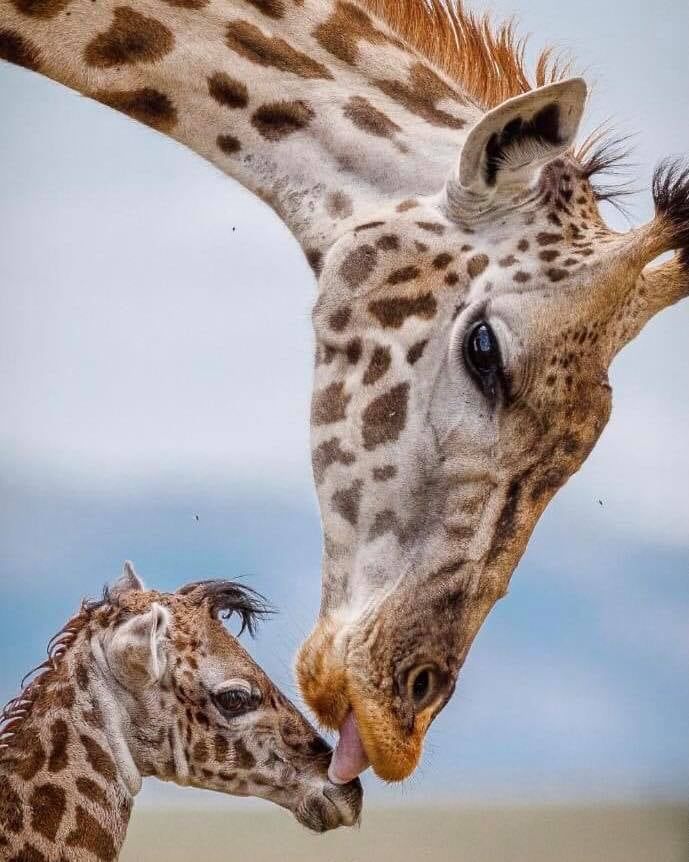 vivaneil1234's tweet image. 