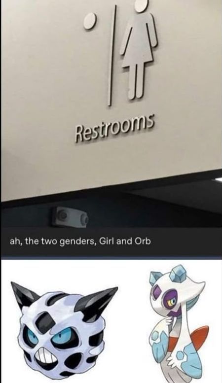 pokemon_daily's tweet image. 