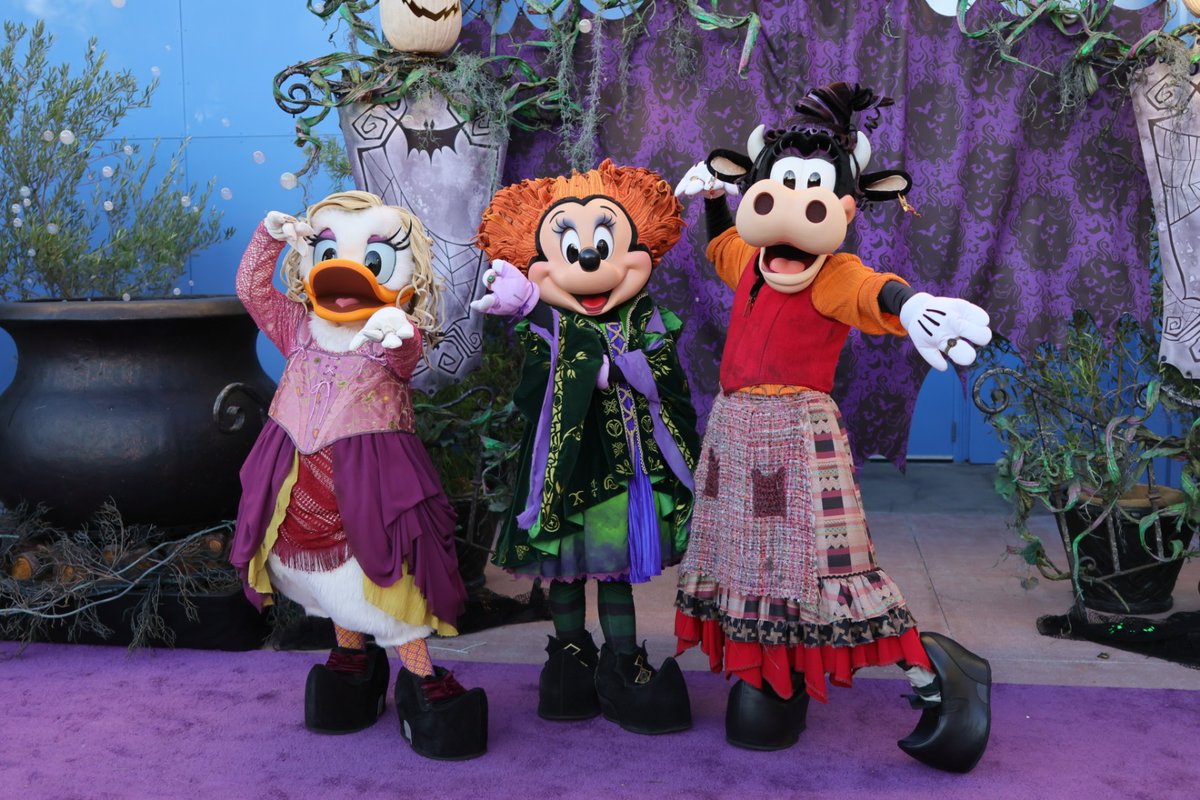 DIZ課 (@wjt_themepark) / Posts / X