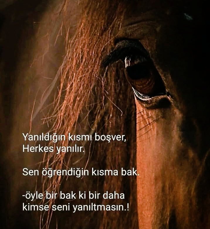 Et tırnaktan ayrılmaz dediler, suda boğulurken tuttukları elimizi karaya çıkınca koparmak istediler, bizim gölgemizi bile güneşe düşman etmek istediler, bizde güneşi tepemize değil, kolumuza aldık evlát.
Vahap Çalışkan.