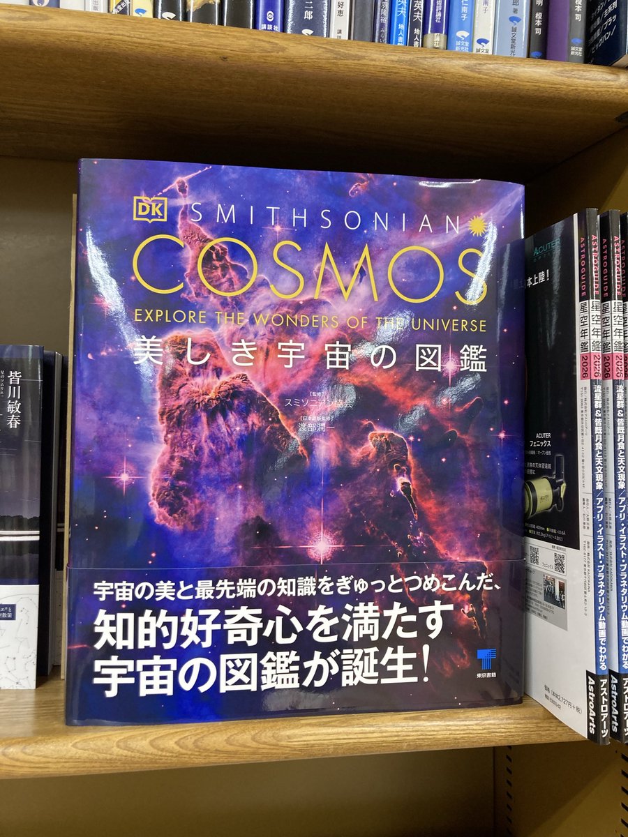 ヒデくん リクエスト出品 ワクワクが止まらん。