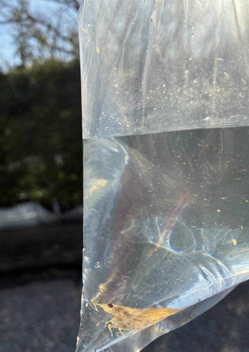 =͟͟͞͞え =͟͟͞͞び =͟͟͞͞は =͟͟͞͞加 =͟͟͞͞速 =͟͟͞͞す =͟͟͞͞る🦐